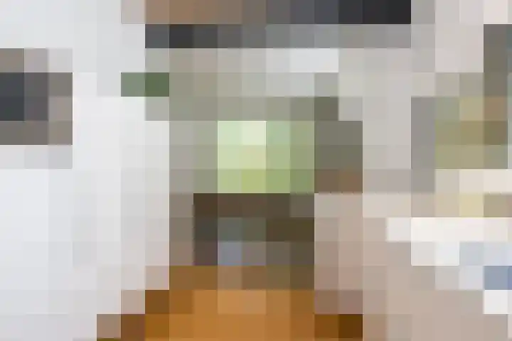 Joppelaan 98 Joppe thumbnail 12