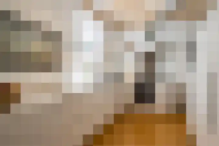Joppelaan 98 Joppe thumbnail 13