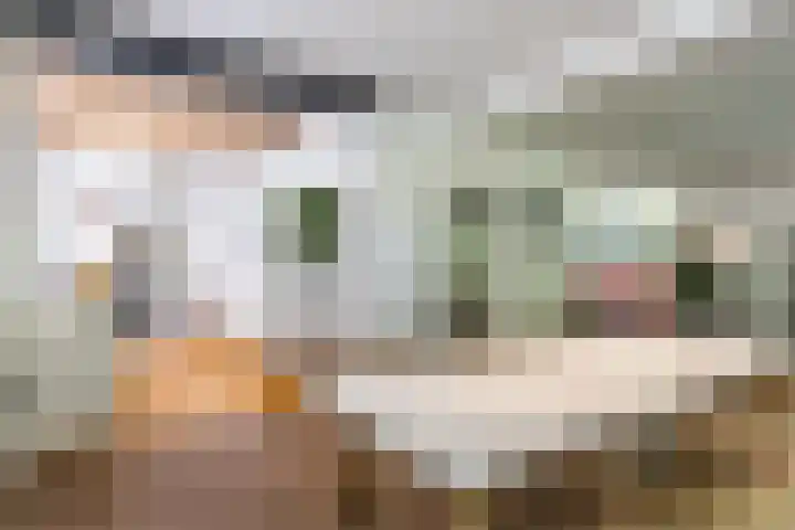 Joppelaan 98 Joppe thumbnail 14