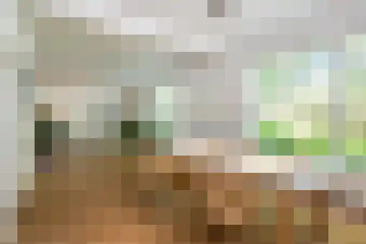 Joppelaan 98 Joppe thumbnail 15