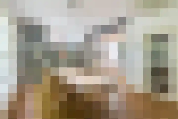 Joppelaan 98 Joppe thumbnail 16