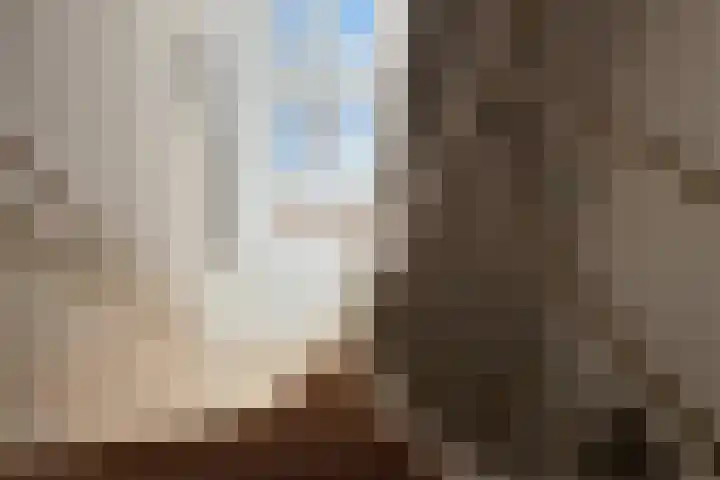 Joppelaan 98 Joppe thumbnail 21