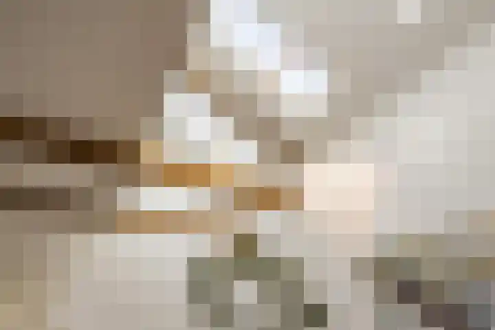 Joppelaan 98 Joppe thumbnail 23