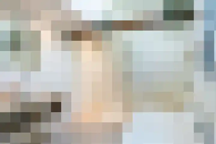 Joppelaan 98 Joppe thumbnail 44