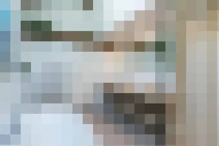 Joppelaan 98 Joppe thumbnail 46
