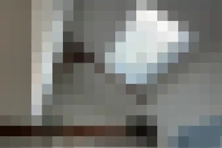 Joppelaan 98 Joppe thumbnail 48