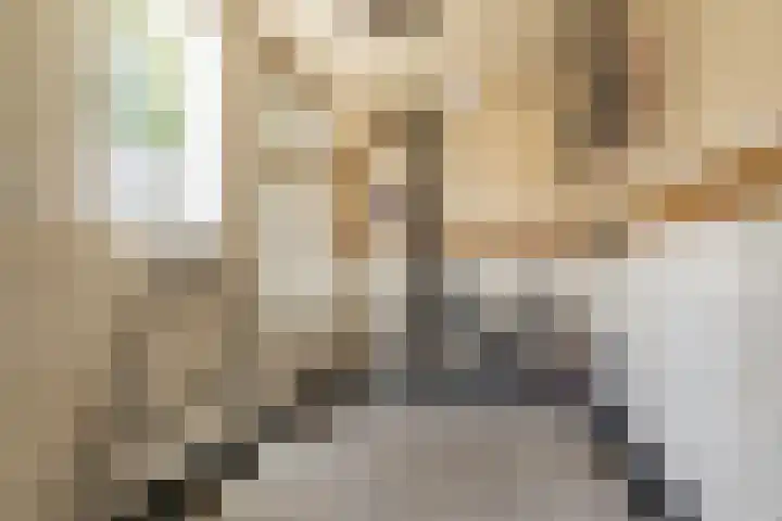 Joppelaan 98 Joppe thumbnail 55