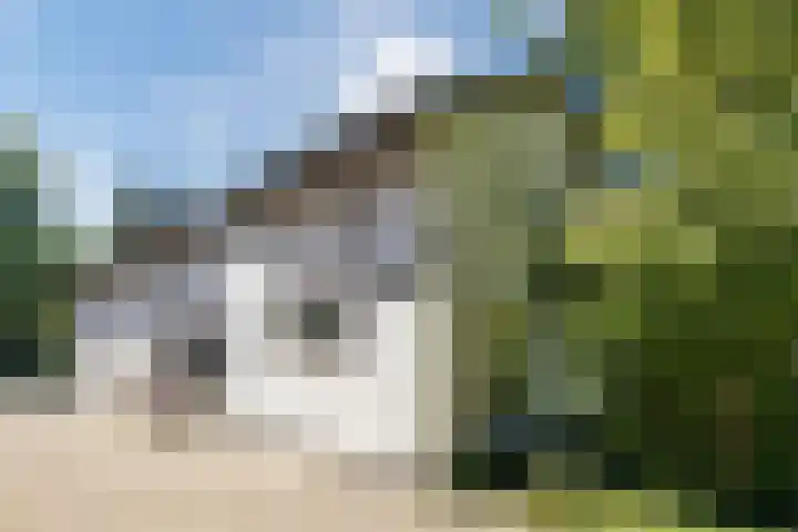 Joppelaan 98 Joppe thumbnail 6