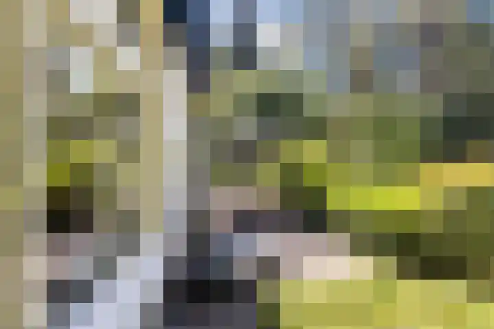 Joppelaan 98 Joppe thumbnail 60