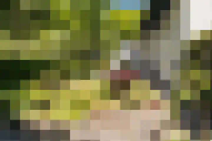Joppelaan 98 Joppe thumbnail 68