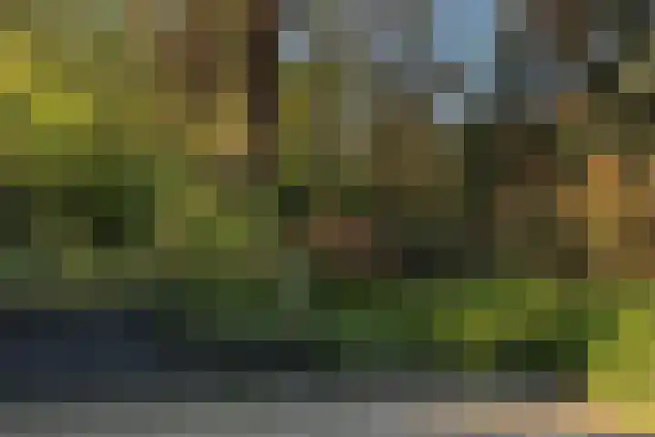 Joppelaan 98 Joppe thumbnail 71