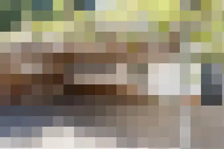 Joppelaan 98 Joppe thumbnail 72