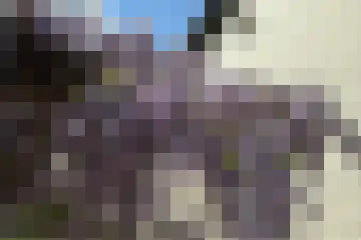 Joppelaan 98 Joppe thumbnail 73