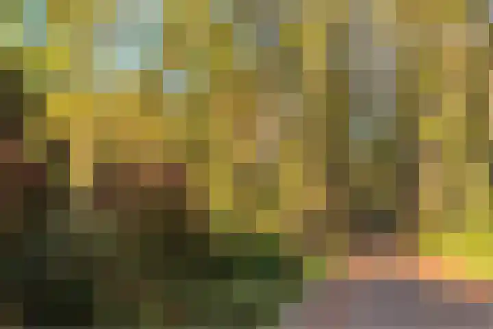 Joppelaan 98 Joppe thumbnail 74