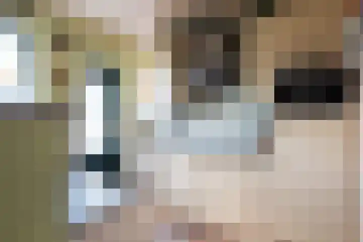 Jordaensstraat 4 Putte thumbnail 17