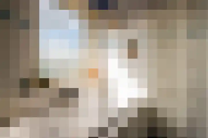Jordaensstraat 4 Putte thumbnail 27
