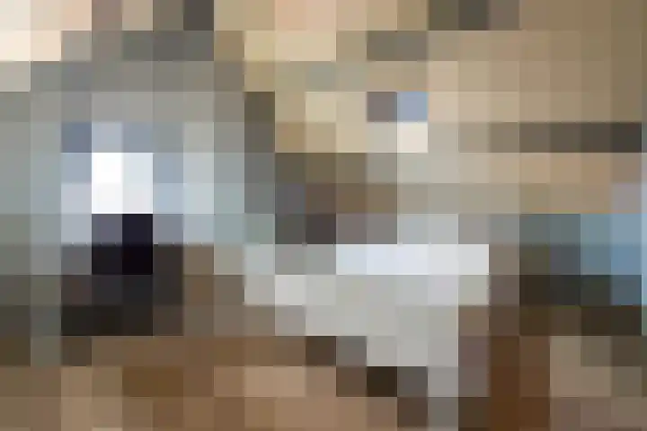 Jordaensstraat 4 Putte thumbnail 28