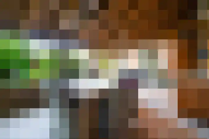 Jordaensstraat 4 Putte thumbnail 38