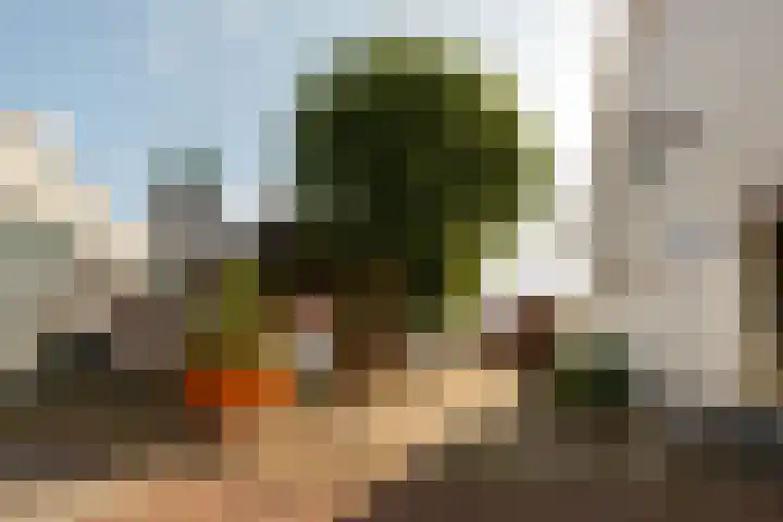 Jordaensstraat 4 Putte thumbnail 47