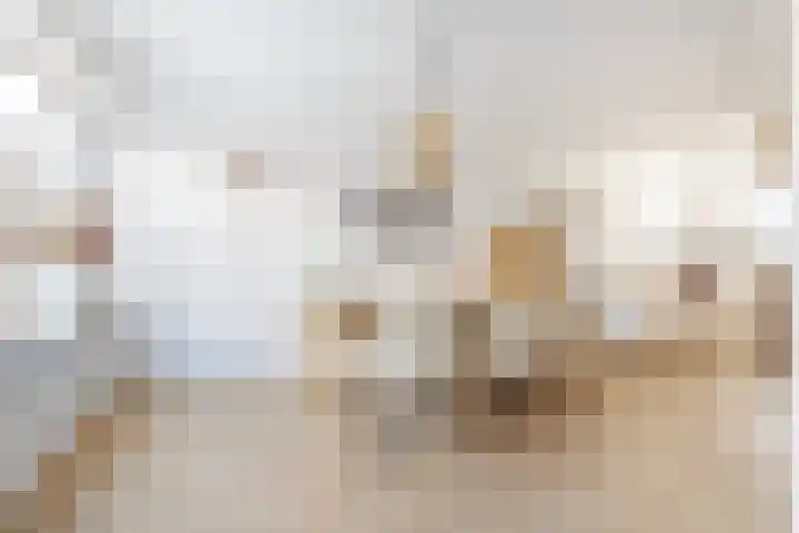 Jorisstraat 43 Breda thumbnail 11