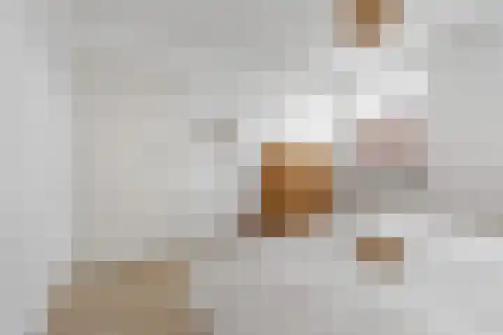 Jorisstraat 43 Breda thumbnail 21