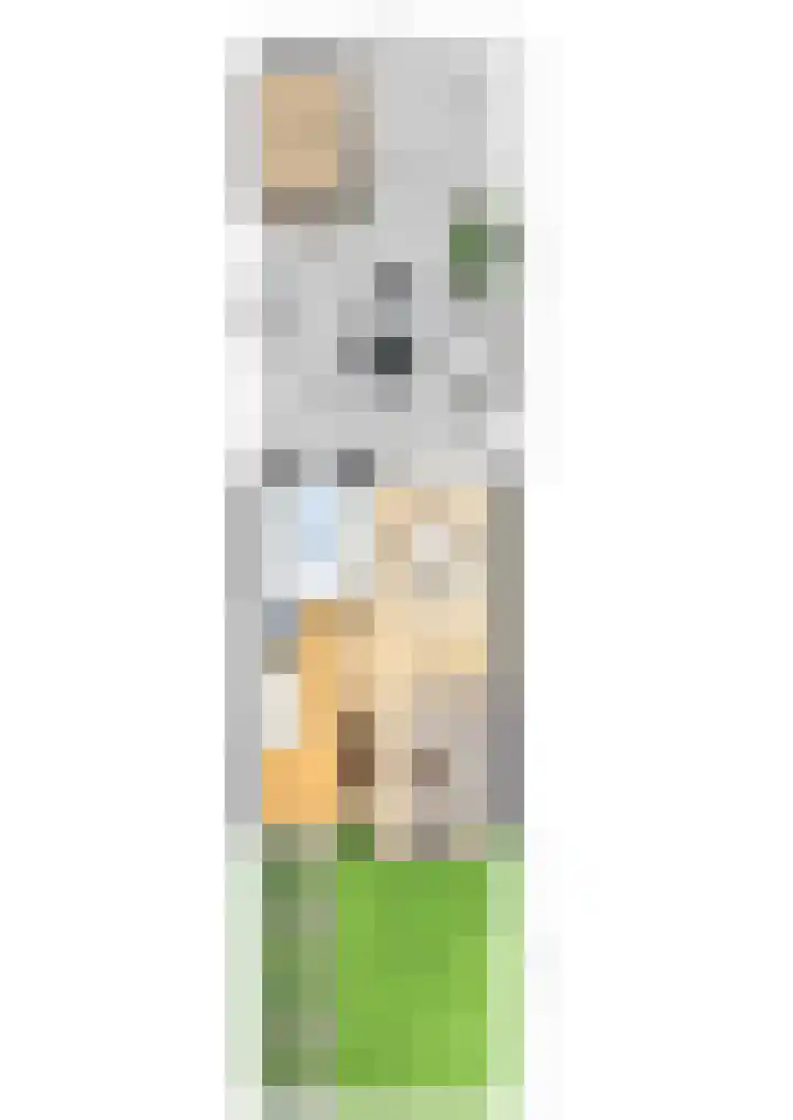 Jorisstraat 43 Breda thumbnail 40