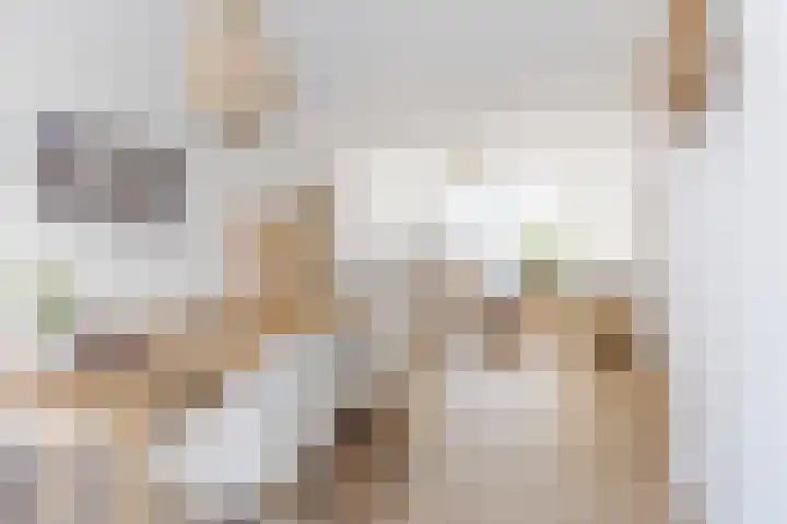 Jorisstraat 43 Breda thumbnail 8