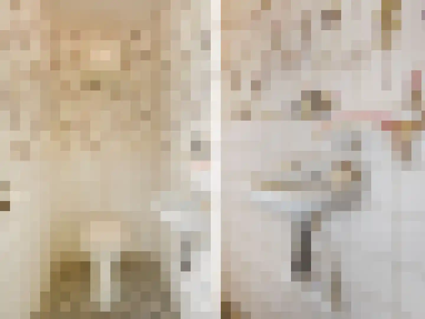 Logo José Faber Makelaardij