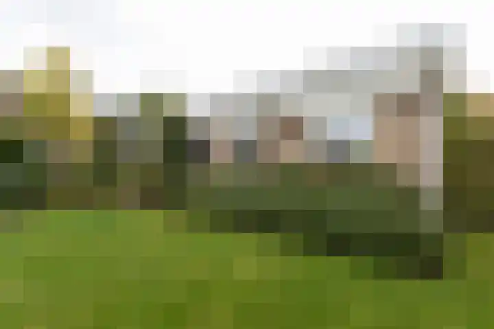 Josinalaan 1 in Zuidhorn