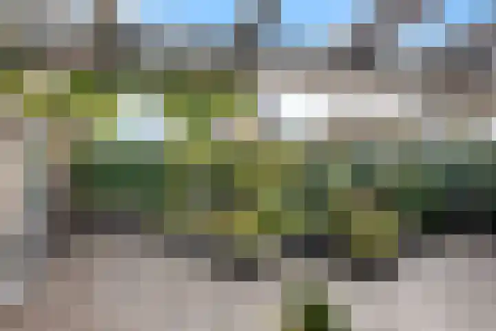 Jotterpad 1 Huizen thumbnail 15