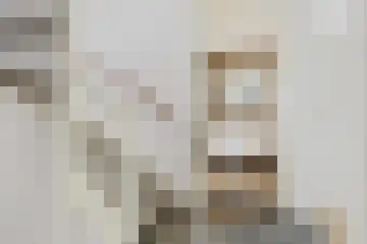 Jotterpad 1 Huizen thumbnail 27