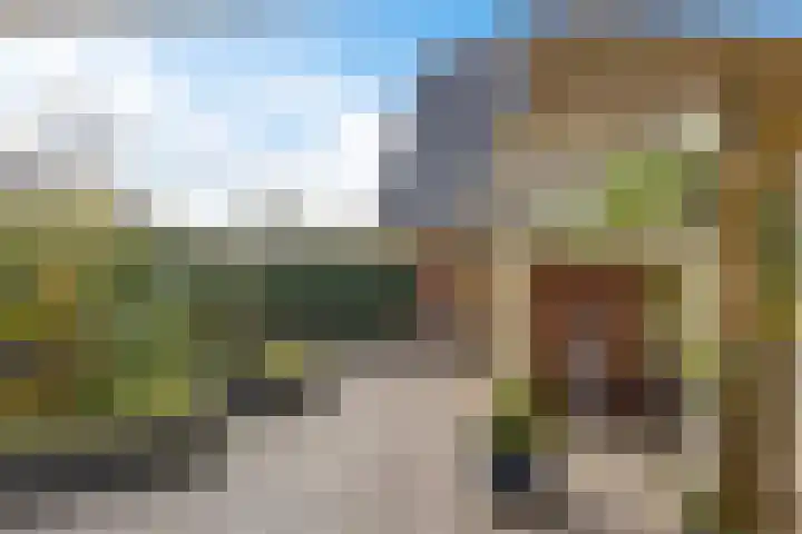 Jotterpad 1 Huizen thumbnail 4