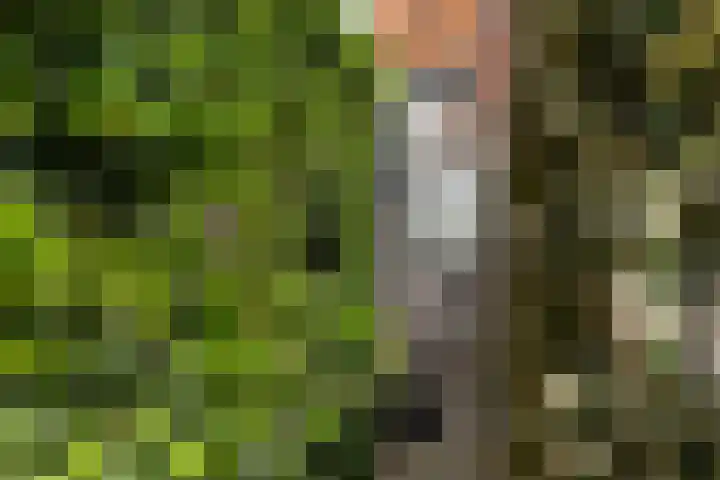 Joubertlaan 22 Zeist thumbnail 15