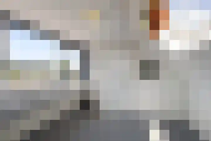 Joubertstraat 24 Den Helder thumbnail 20