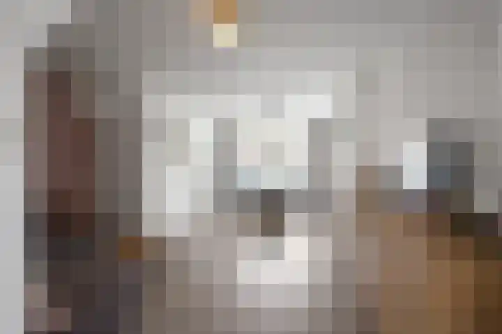 Joubertstraat 24 Den Helder thumbnail 6