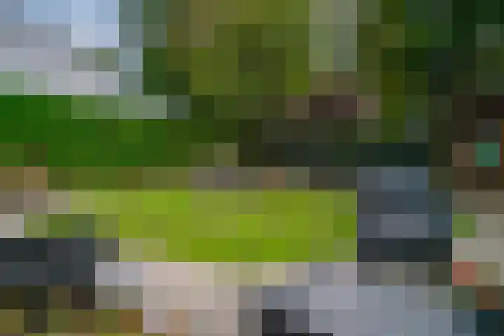 Jourestraat 24 Arnhem thumbnail 27