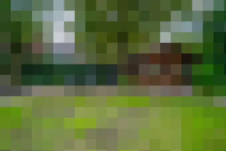 Jourestraat 24 Arnhem thumbnail 29
