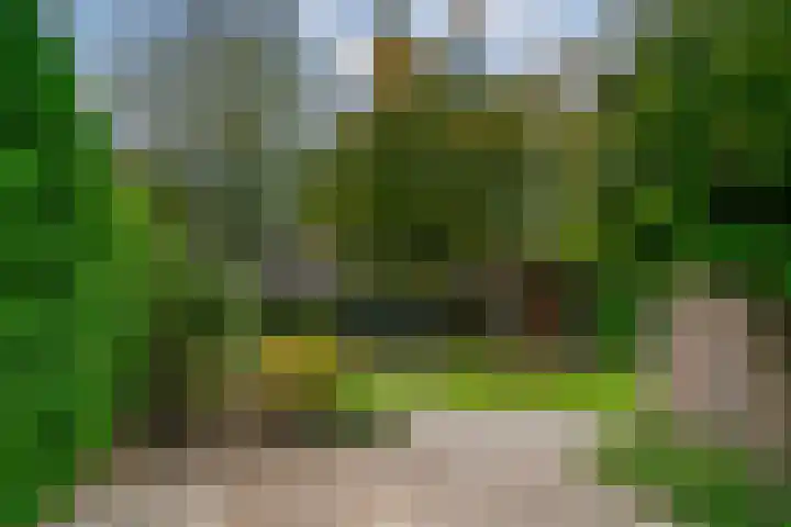 Jourestraat 24 Arnhem thumbnail 34
