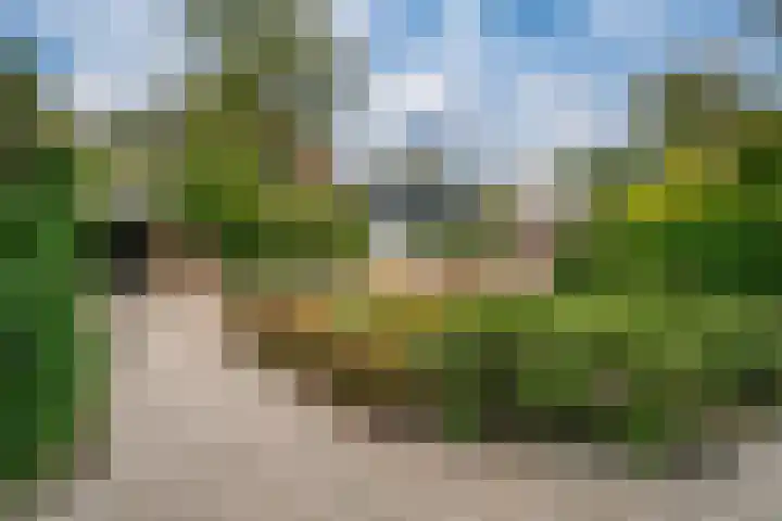Jourestraat 24 Arnhem thumbnail 8