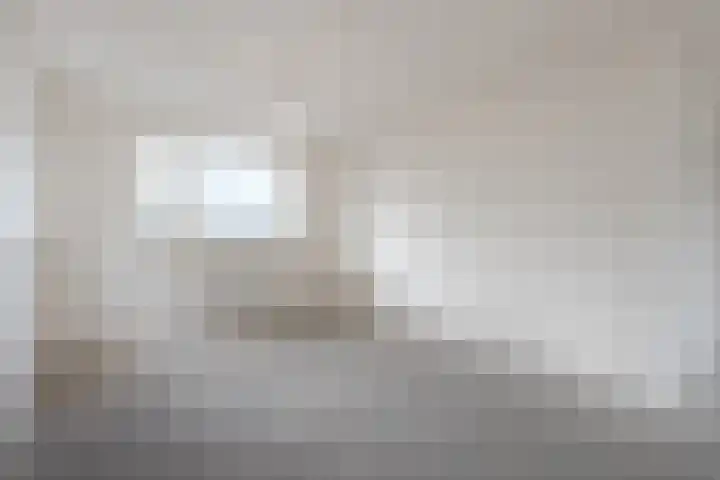 Judaspenning 5 Lelystad thumbnail 12