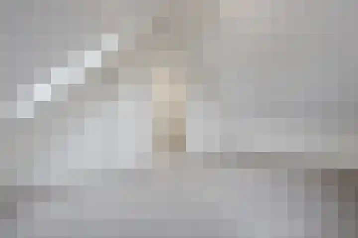 Judaspenning 5 Lelystad thumbnail 31
