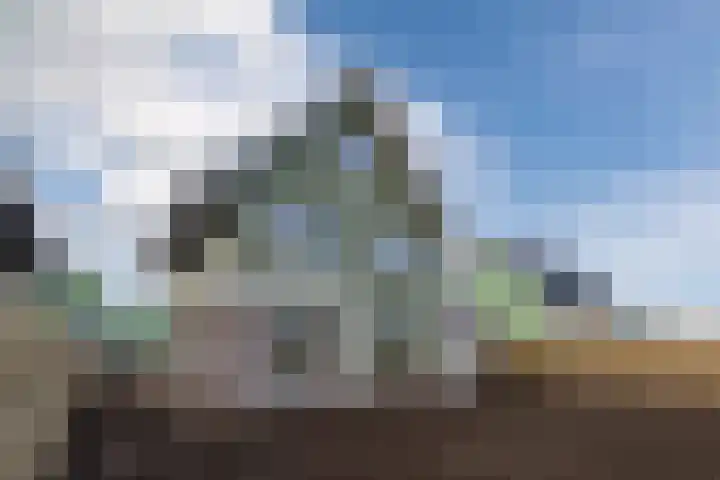Judaspenning 5 Lelystad thumbnail 38