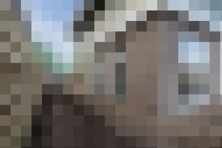 Judaspenning 5 Lelystad thumbnail 39