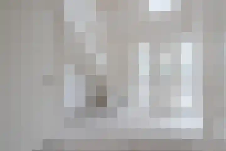 Judaspenning 5 Lelystad thumbnail 5