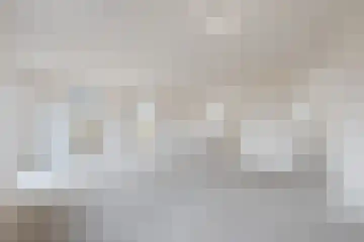 Judaspenning 5 Lelystad thumbnail 9