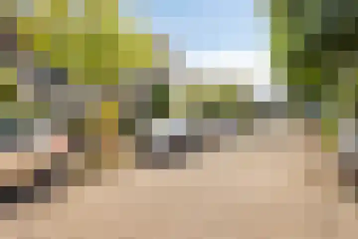 Judith Leysterlaan 25 Pijnacker thumbnail 7