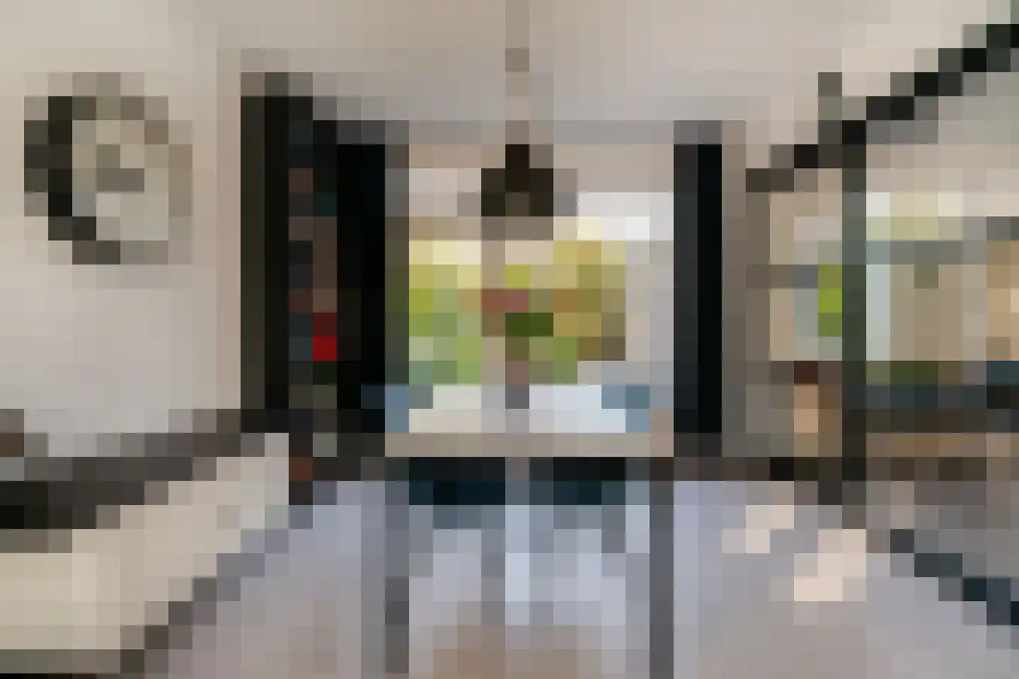 Judostraat 7 Didam thumbnail 12