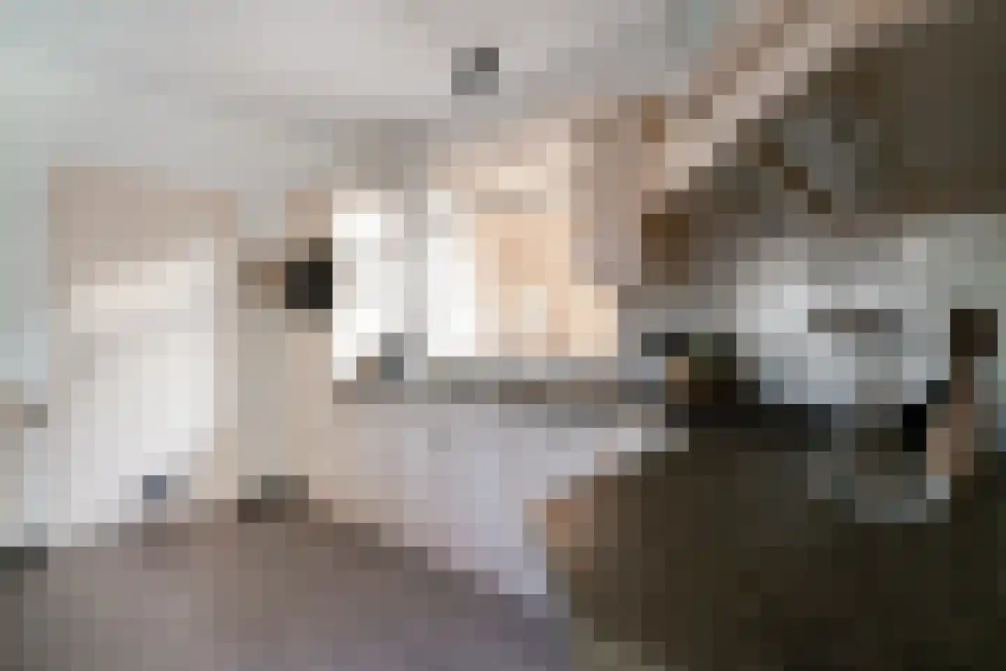 Judostraat 7 Didam thumbnail 20