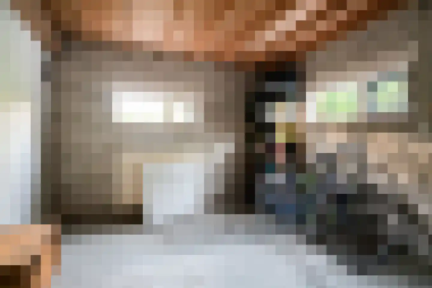 Judostraat 7 Didam thumbnail 29