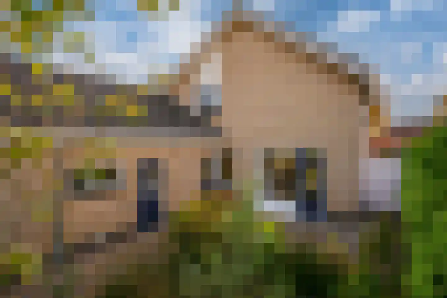 Judostraat 7 Didam thumbnail 31